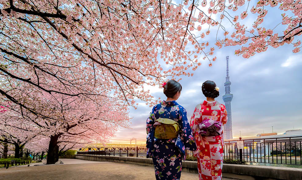Ιαπωνία Ταξίδι στην Χώρα του Ανατέλλοντος Ηλίου – Travellook