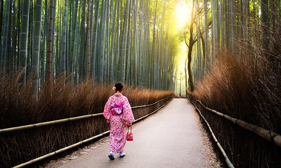 travellook japan_