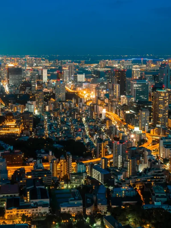 Night view of Tokyo city with Tokyo tower in Kanto, Japan.