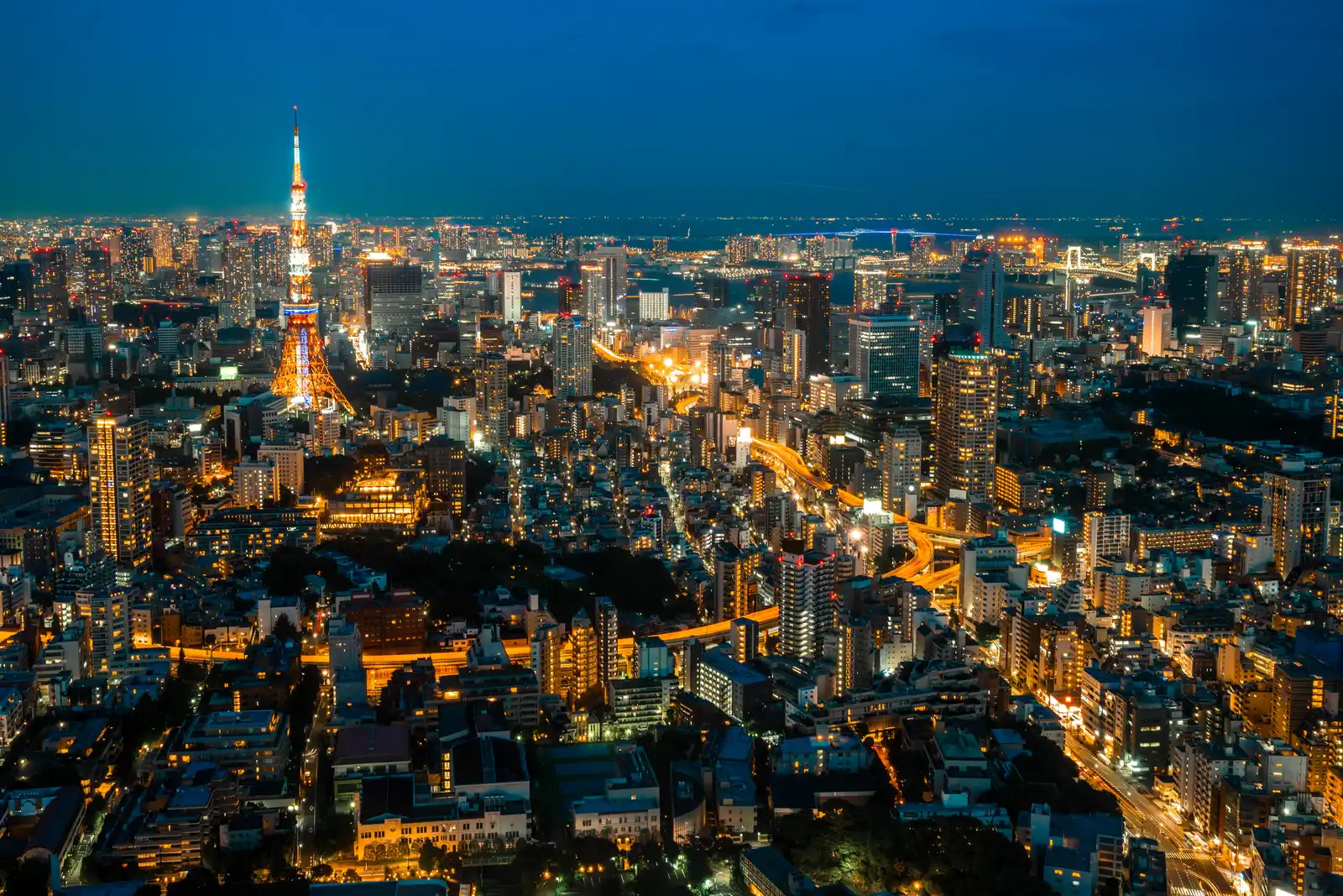 Night view of Tokyo city with Tokyo tower in Kanto, Japan.