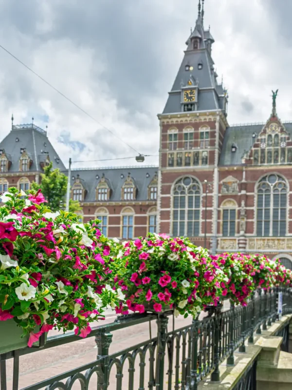 Pink And White Petunias Decorating A Bridge With The Rijksmuseum, Amsterdam, Netherlands